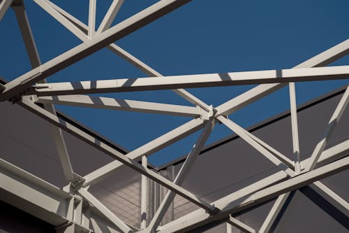 pexels-photo-10329046